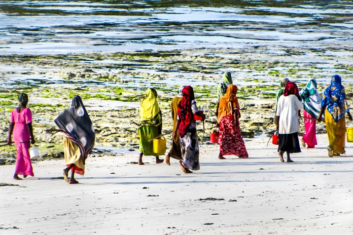 Zanzibaras. Nuotrauka iš Shutterstock.